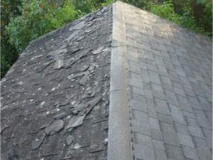 Shingle Roof Before and After