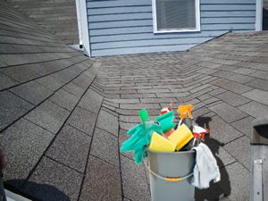 Spring Roof Cleaning